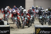 Energy Crisiscross (ECX) 2010